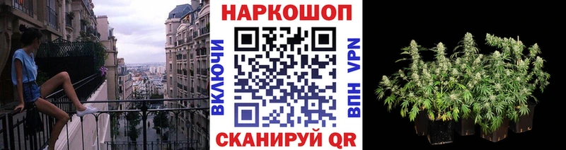 Наркотические вещества Тбилисская COCAIN ссылка на мегу ТОР Меф Галлюциногенные грибы ГАШИШ Alpha-PVP МАРИХУАНА