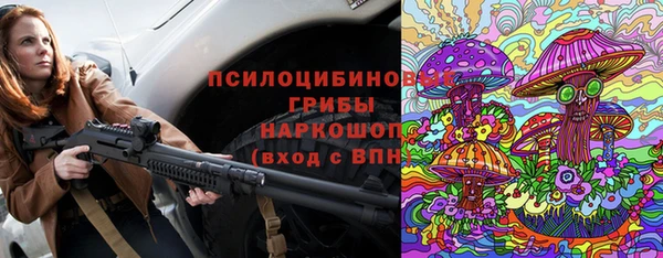 сатива Абаза
