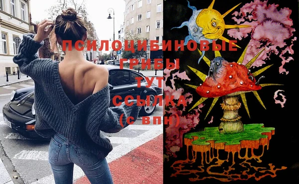 сатива Абаза