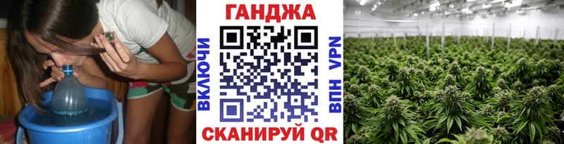 Каннабис ГИДРОПОН  Тбилисская 